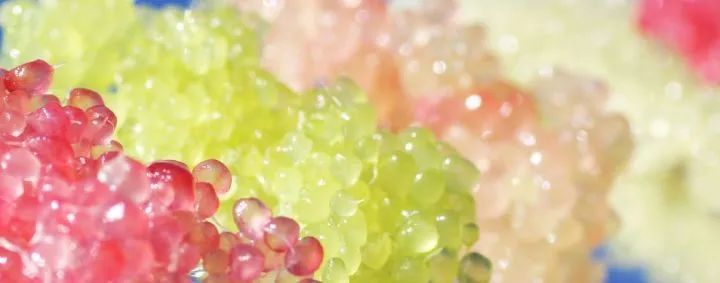 澳洲水果的营养价值,澳洲必吃的10种水果