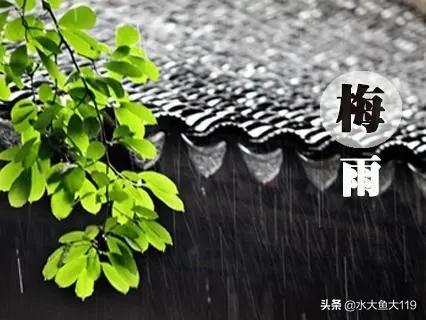 南风天地板潮湿快速变干的技巧,回潮天地板除湿小妙招