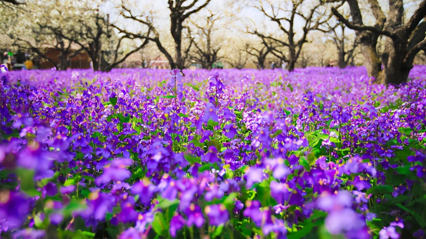 浅谈全国34个省级区域之华东篇：江苏省—宿迁市