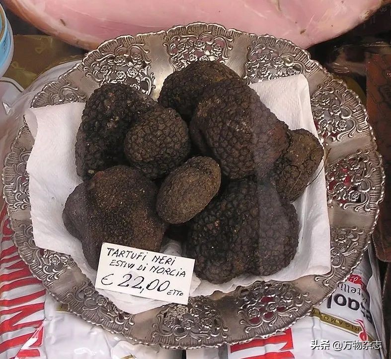 吃了坏玉米会中毒吗,玉米坏了有什么危害