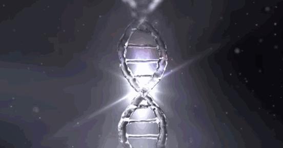 妈妈抗皱抗衰老祛斑护肤品,hbn护肤品真的抗衰老吗