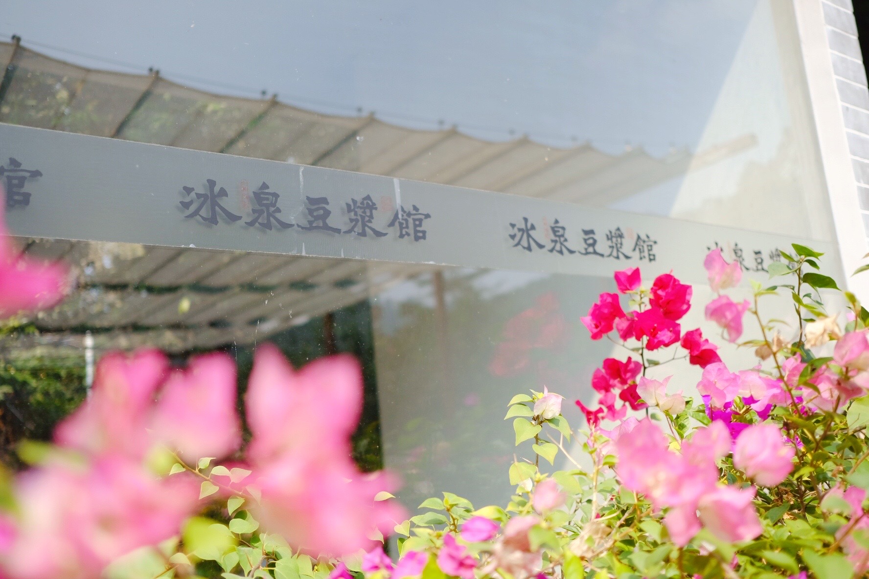 梧州市游玩美食攻略,梧州美食打卡探店