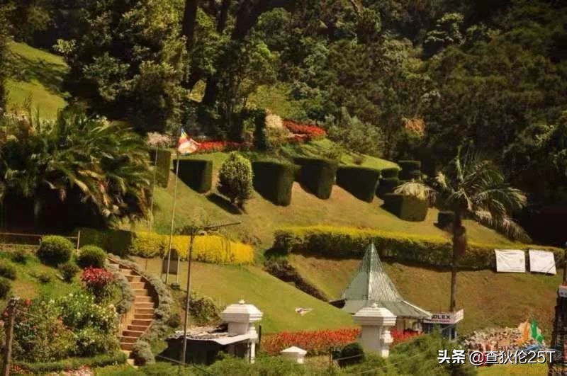 斯里兰卡努沃埃利耶小镇,斯里兰卡努沃勒埃利耶茶厂