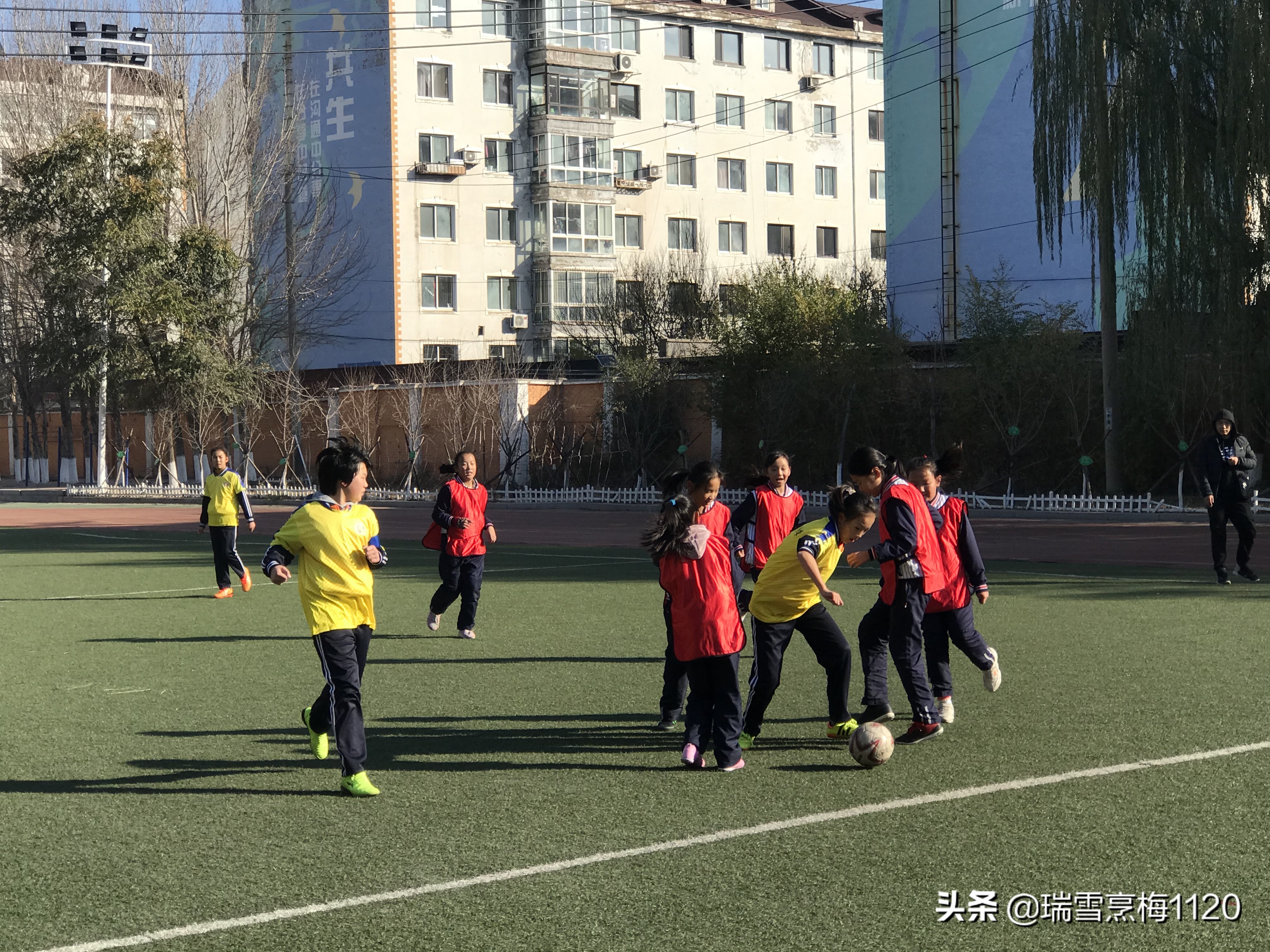 新城子街第一小学喜报,厉害杨浦足球小将斩获市运会冠军