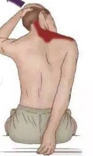 瑜伽越练肩膀越僵硬咋回事,肩膀厚练瑜伽可以改变吗