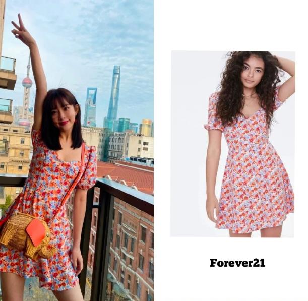 司凤的真正老婆,司凤的前女友