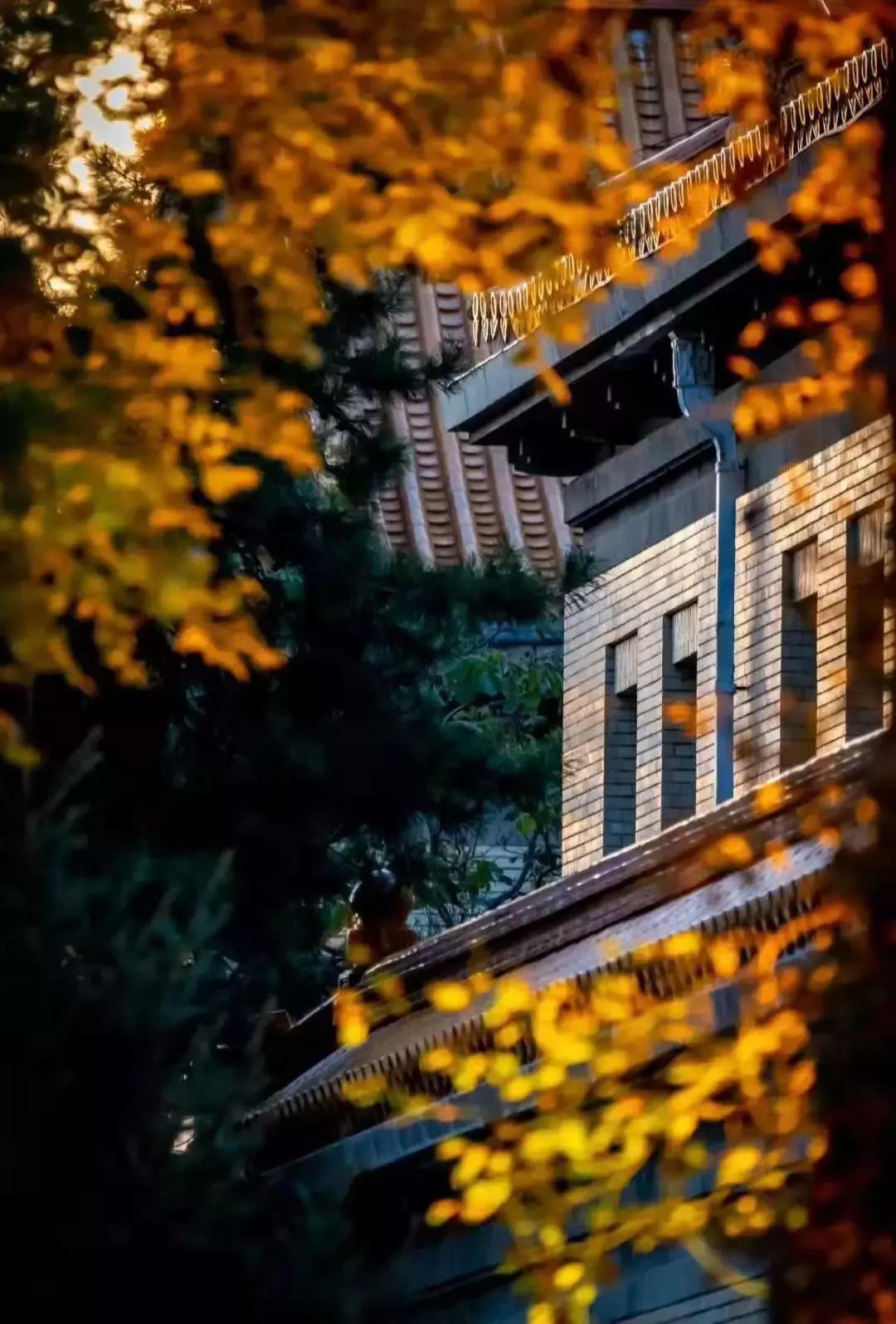 五一免门票景区吉林,十一吉林市景区免门票