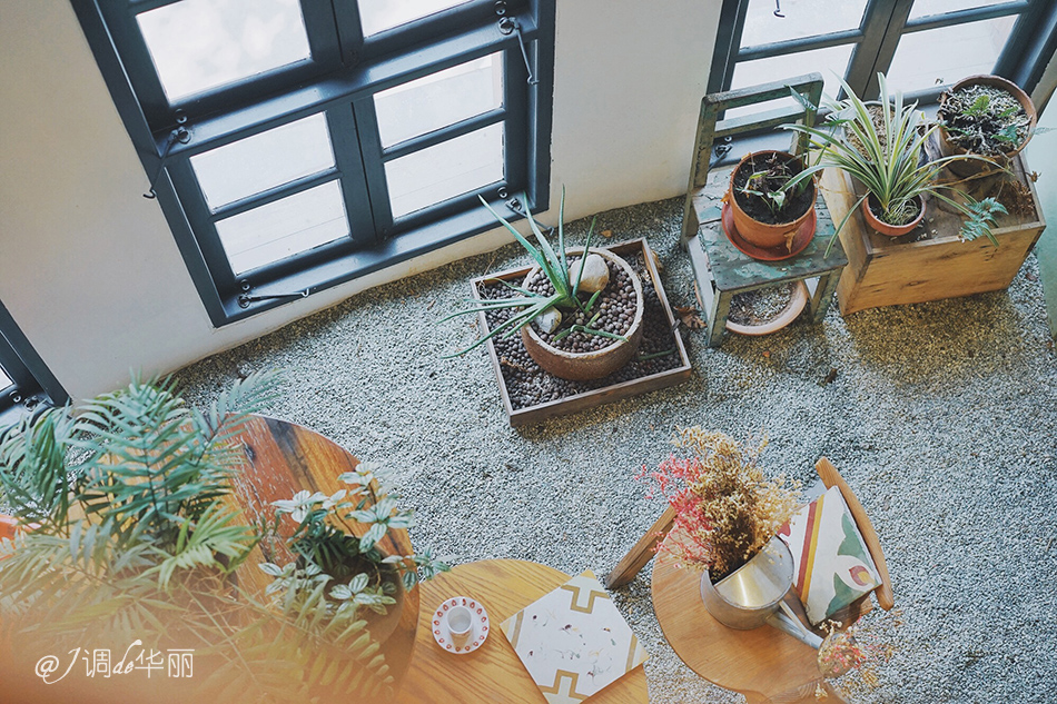 厦门没去过的地方,厦门没去过的景点