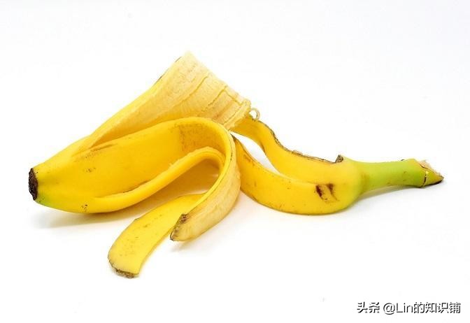 生活中12个有趣的冷知识,十个趣味冷知识让你有一丝凉意