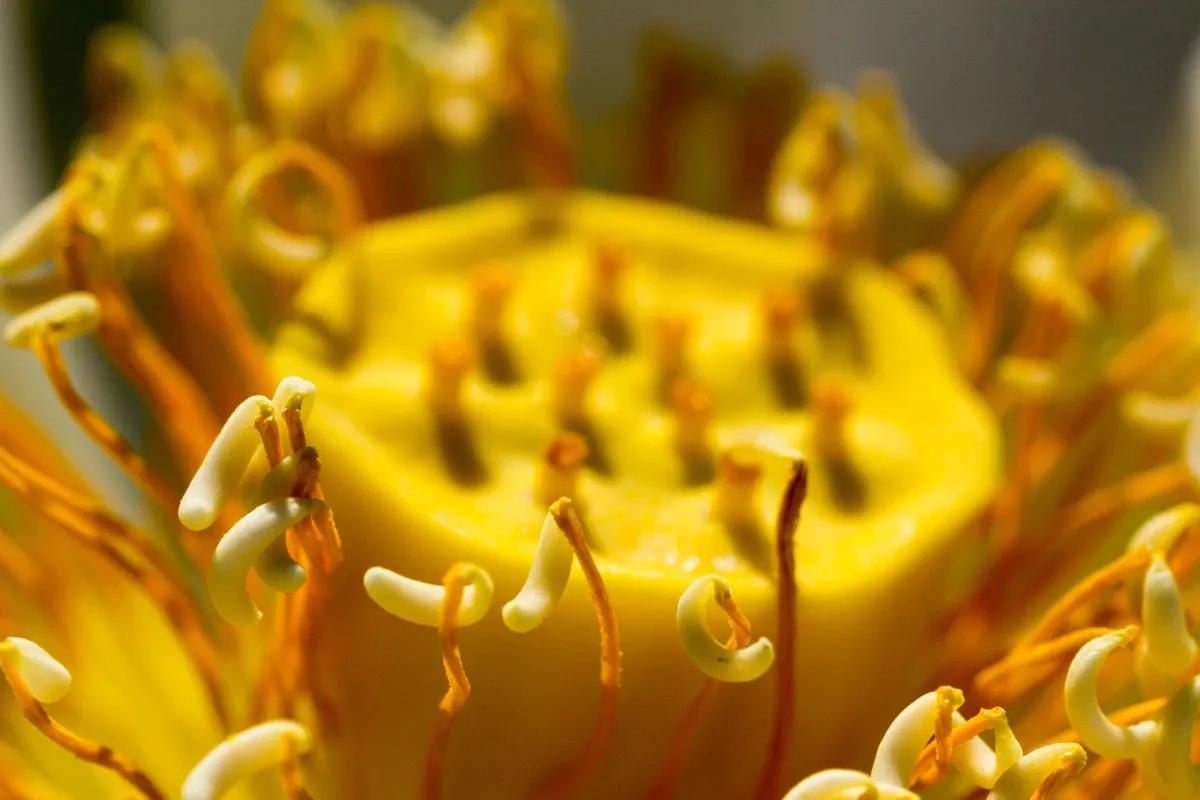 常见的脸部皮肤病有哪些,面部皮肤病辨别图解