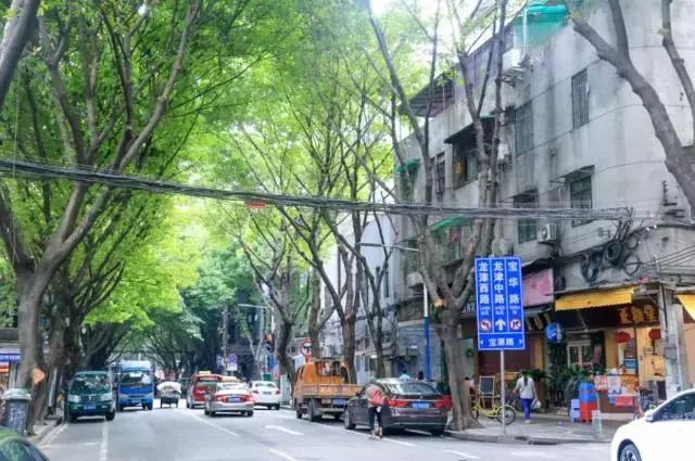 去广州必去的几条老街,“广府味”十足,正宗老广不一定全去过
