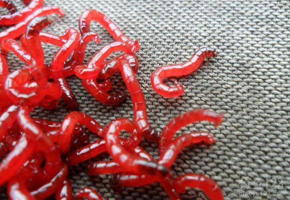 污水处理池红虫怎么处理,手破了碰到红虫了怎么处理