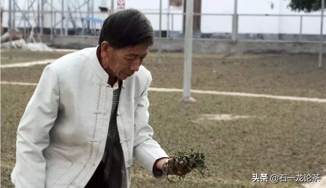 勐库戎氏邦界普洱茶,勐库戎氏问鼎冰岛龙珠