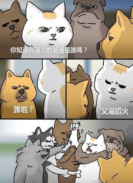 斗图10大万恶之源梗,斗图什么梗