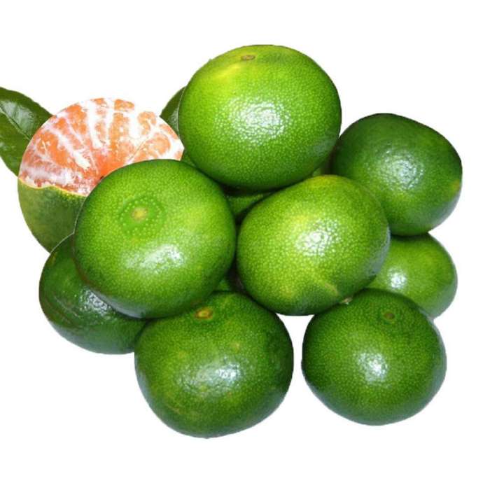 真怀念啊用英语怎么写,真正的酸酸甜甜的橘子