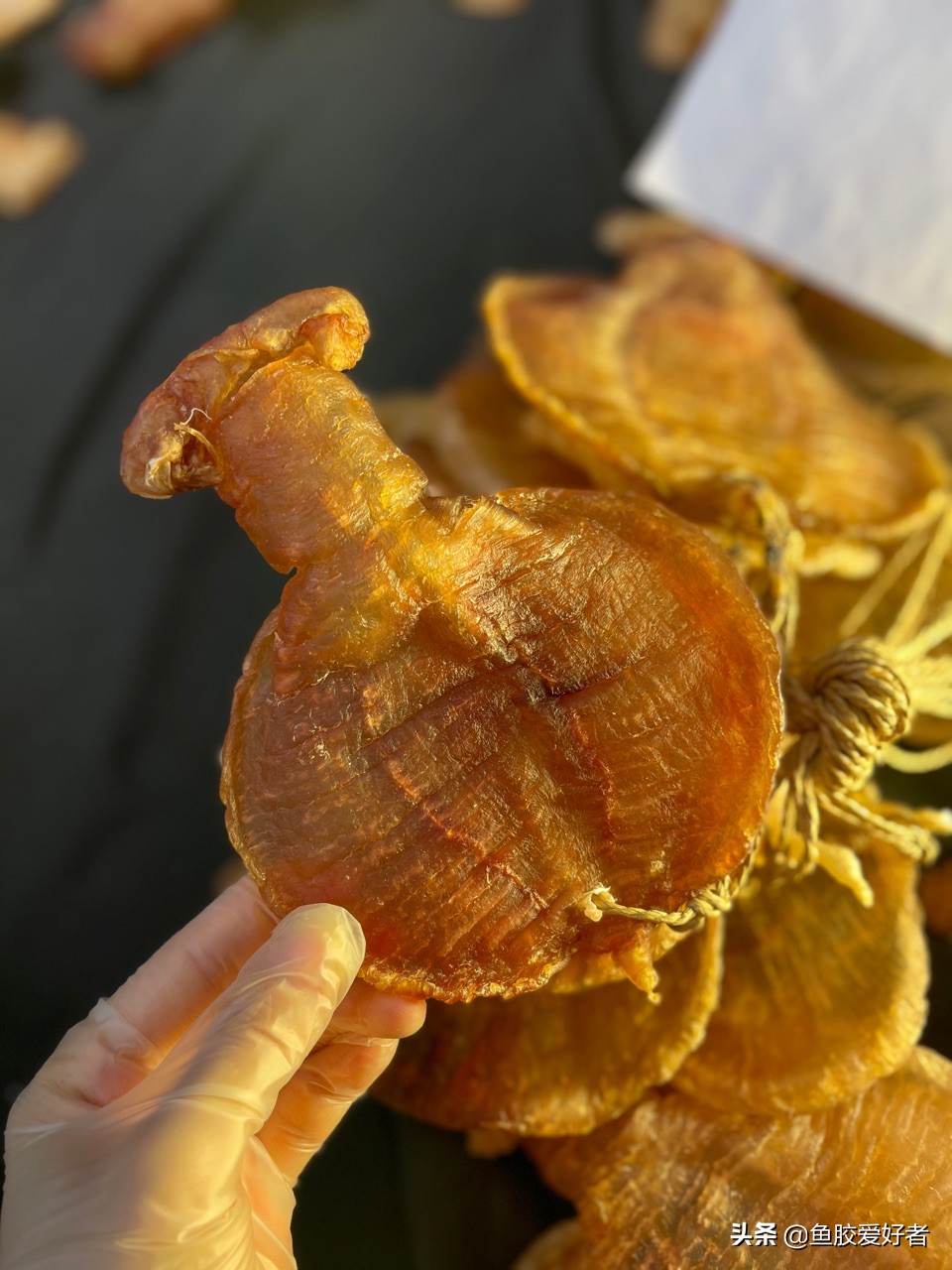 油炸鱼胶正确的泡发方法,潮汕人鱼胶正确的泡发方法