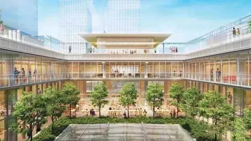 深圳十大私立贵族幼儿园,私立幼儿园最贵的幼儿园