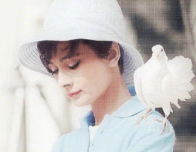 赫本是众多男人心中的女神,赫本坎坷情路