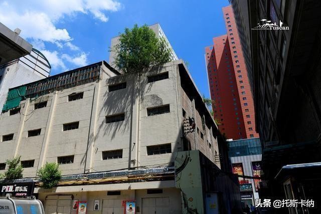 听说这成了西宁第二个网红打卡地,西宁网红打卡地边麻沟