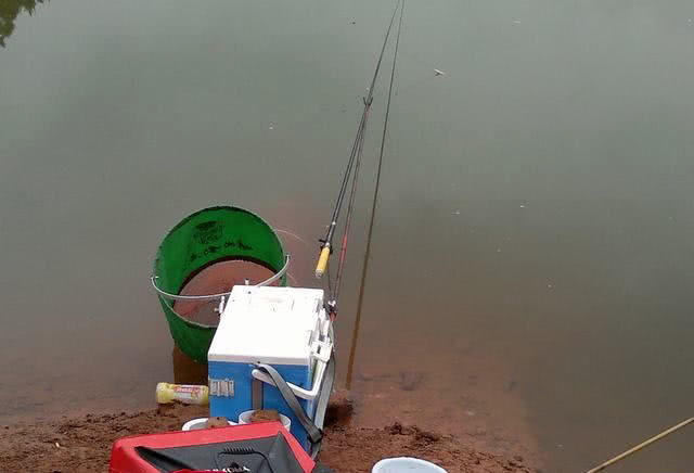 钓鱼人的困惑,这种健鲤和平常鲤鱼不一样吗?