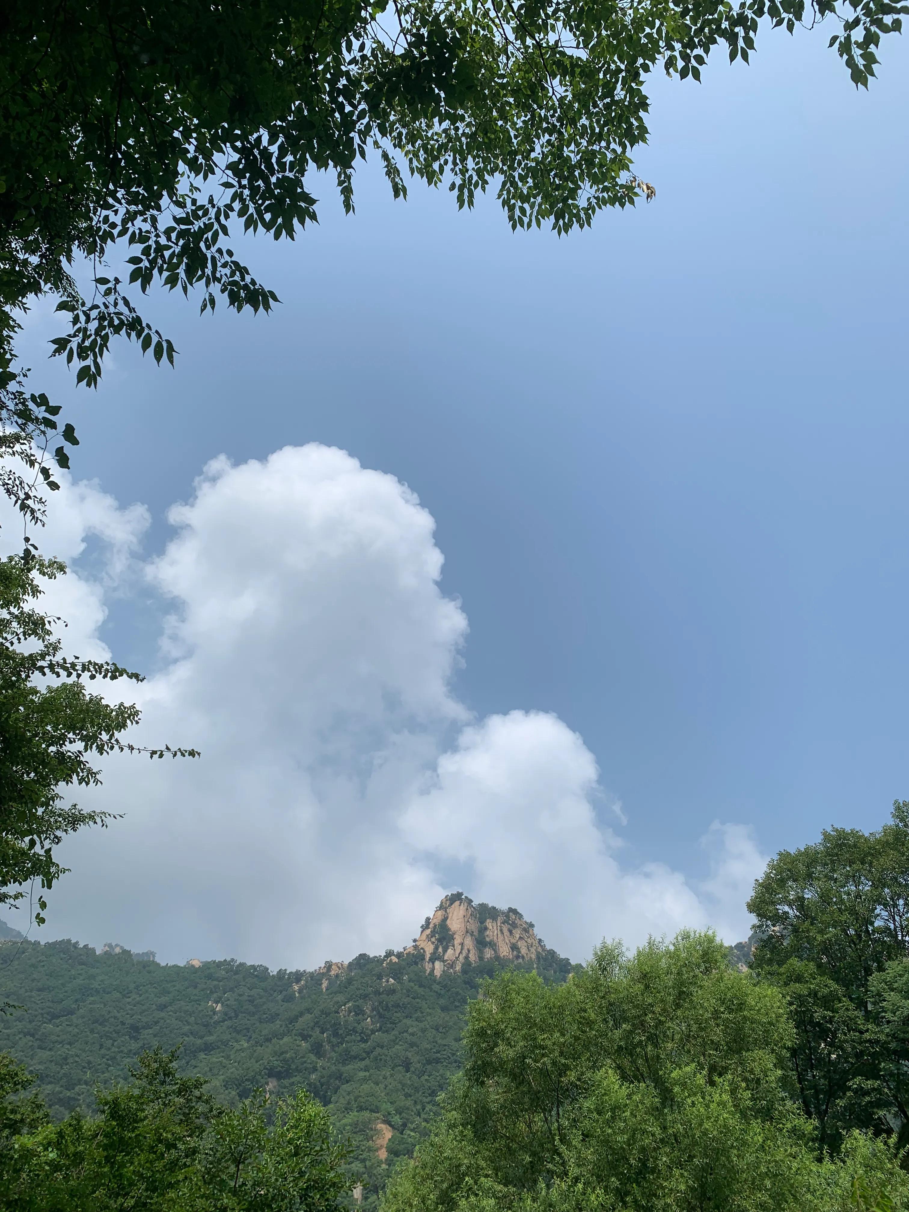 一朵花的守候——七峪沟纪行