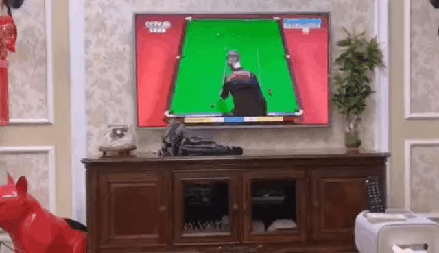 <html>
<head><title>502BadGateway</title></head>
<body>
<center><h1>502BadGateway</h1></center>
<hr><center>nginx</center>
</body>
</html>
<!--apaddingtodisableMSIEandChromefriendlyerrorpage-->
<!--apaddingtodisableMSIEandChromefriendlyerrorpage-->
<!--apaddingtodisableMSIEandChromefriendlyerrorpage-->
<!--apaddingtodisableMSIEandChromefriendlyerrorpage-->
<!--apaddingtodisableMSIEandChromefriendlyerrorpage-->
<!--apaddingtodisableMSIEandChromefriendlyerrorpage-->
