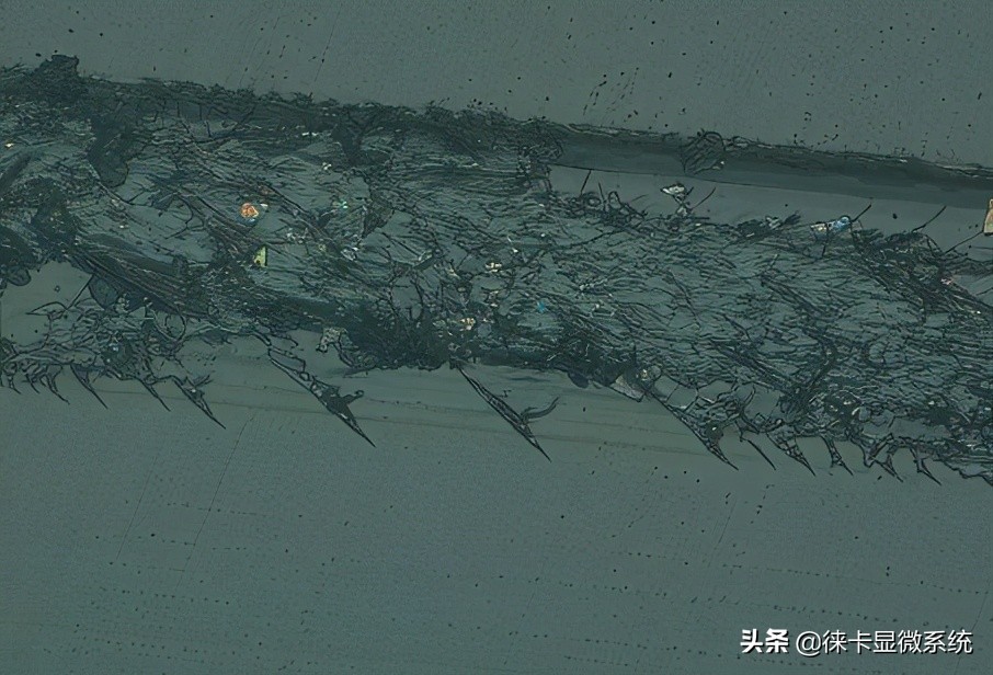 徕卡半导体显微镜,徕卡扫描电子显微镜