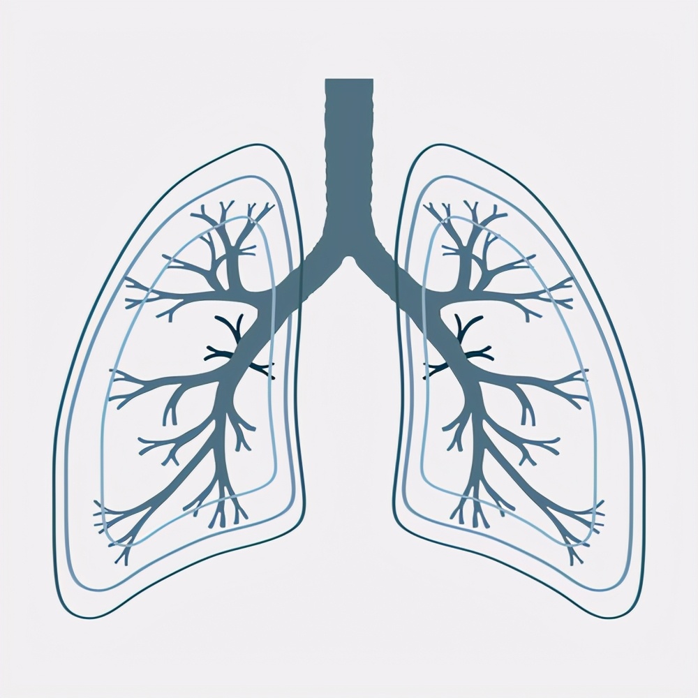 特发性肺动脉高压，主要疾病类型为两种，积极配合治疗，预后较好