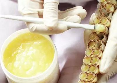 吃蜂王浆和蜂胶会加重肝脏负担吗,蜂花粉和蜂王浆哪个对肝脏好