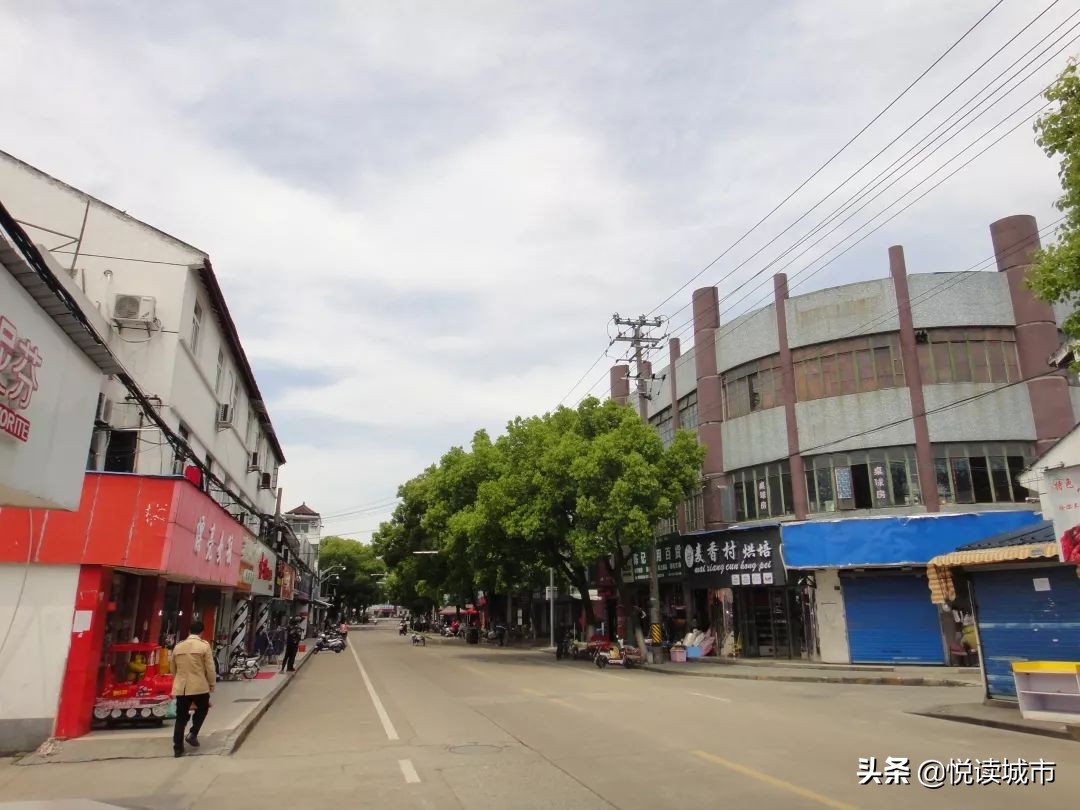 金秋赏“金”：新老照片对比金山发展老金山都不一定认得全