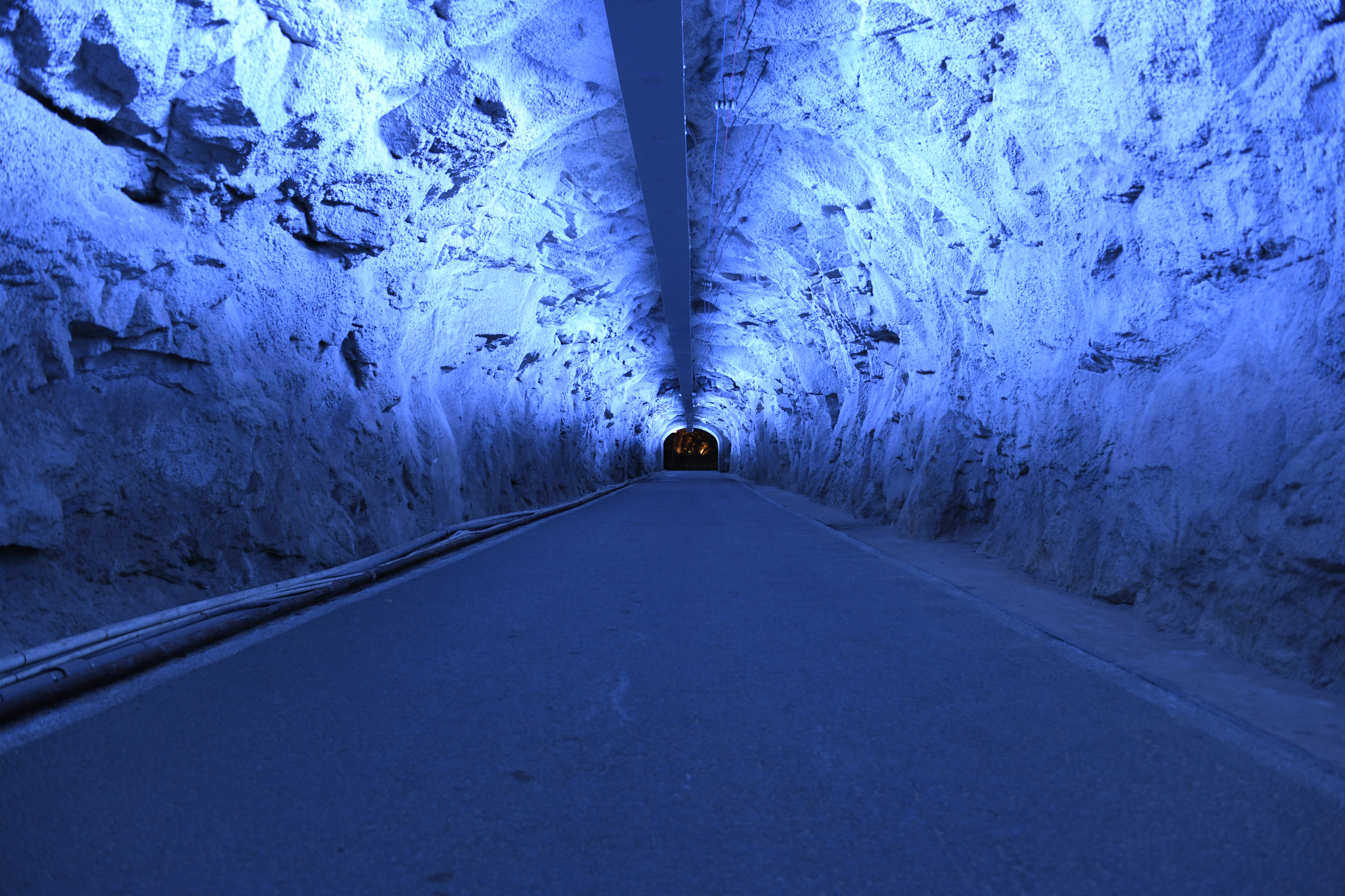 厦门鼓浪屿免费,厦门景点半价政策最新规定