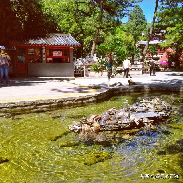 京郊古寺攻略,京郊古寺