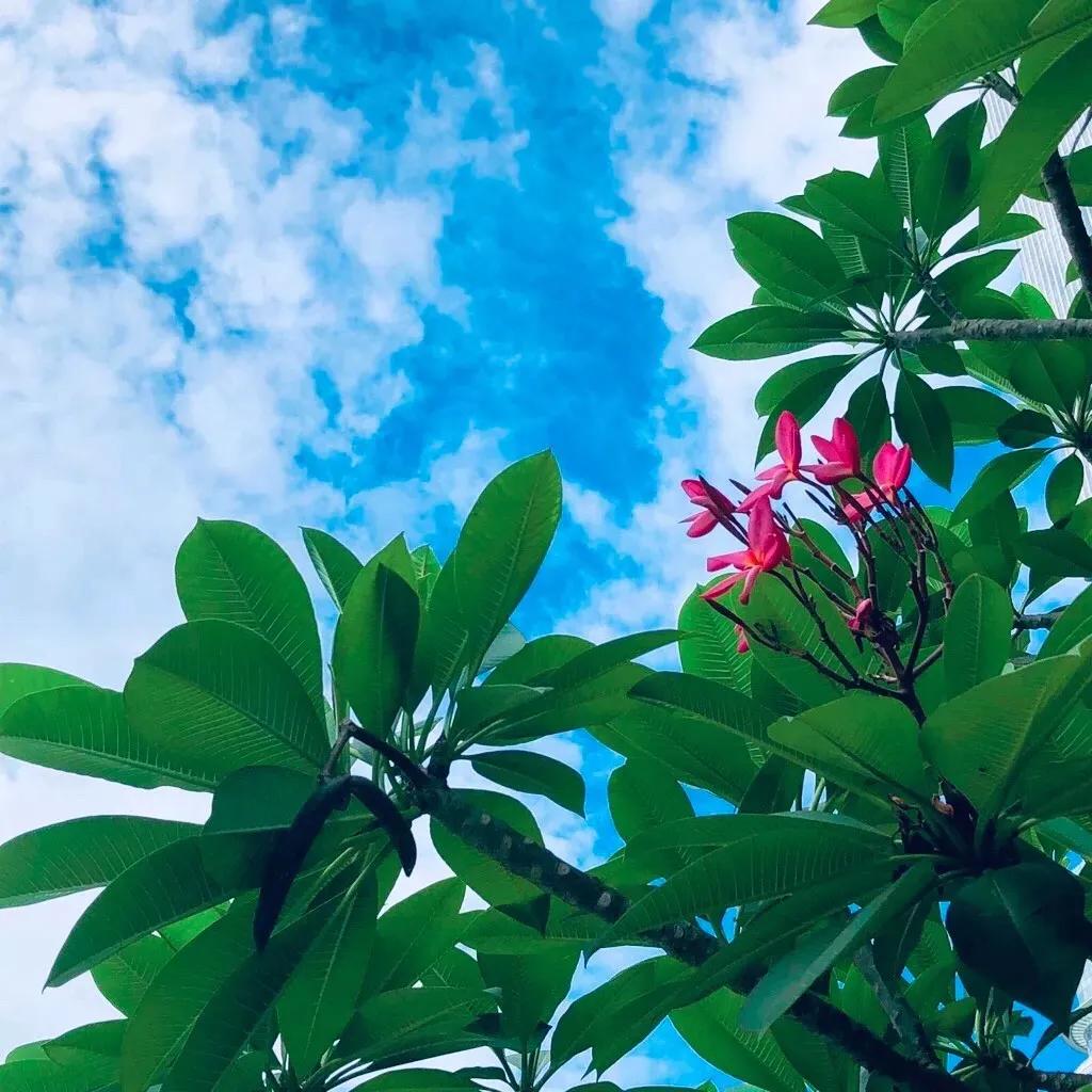 四十不惑正确解读,四十不惑的境界如何快速到达