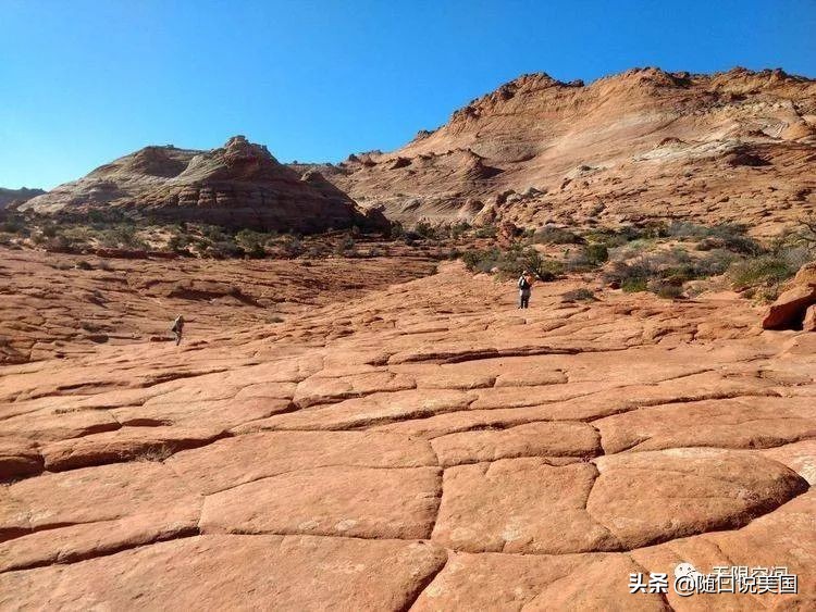 荒野乱斗流彩伊芙强度,荒野行动榴弹怎么用