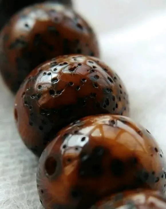 星月菩提阴皮是什么意思,星月菩提的阴皮怎么形成的