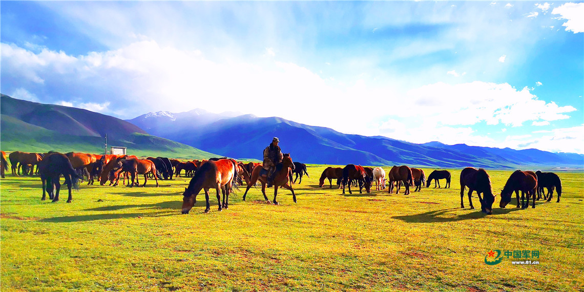 雪山见证他们的忠诚,雪山见证迷彩青春