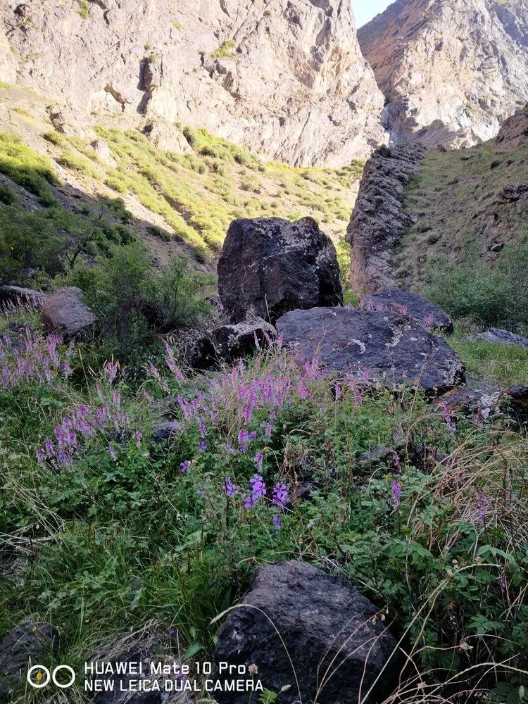 传说中的天狼之路，是否值得一走？