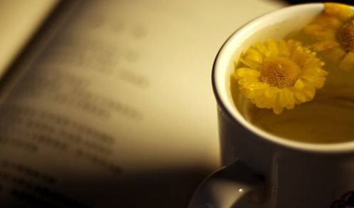 春天梅花开原创诗句,原创诗词梅开二度