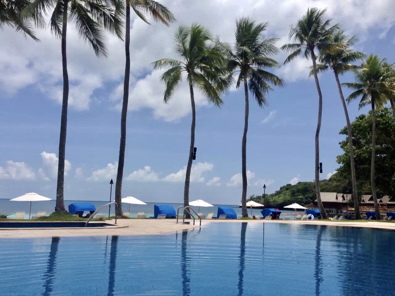 帕劳旅游十大攻略,帕劳上帝的水族箱