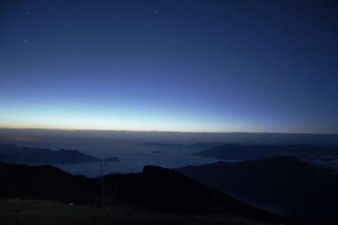 法系车雪铁龙世嘉,法系车雪铁龙c4世嘉怎么样