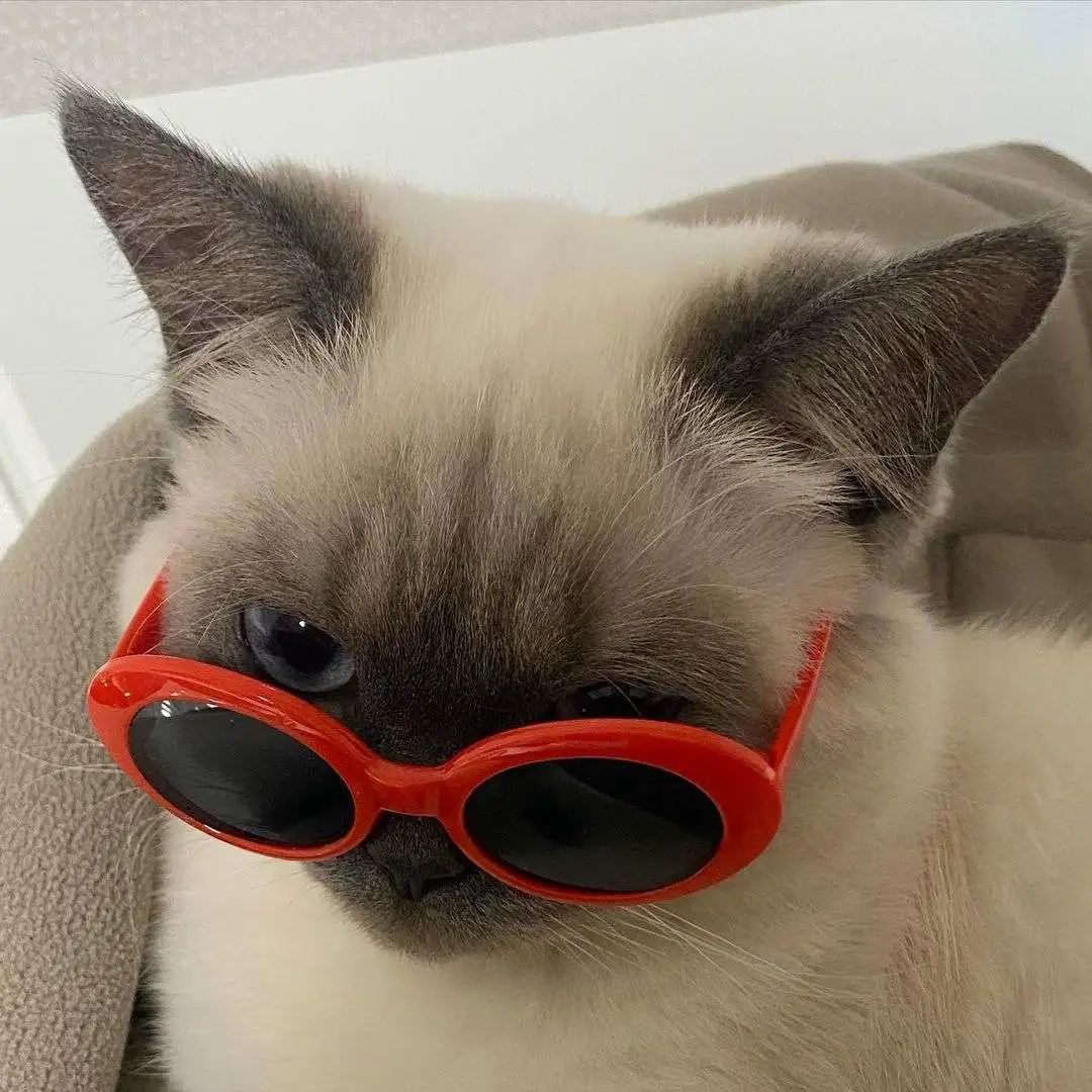 煤老板爆红完整版,煤老板ins