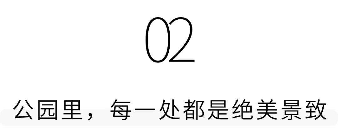 深圳人少的海滨公园,深圳滨海公园怎么样