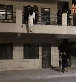 搞笑动图gif图片,搞笑动图gif图片合集