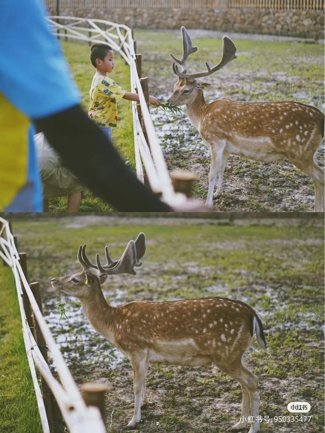 天津基建,天津大基建