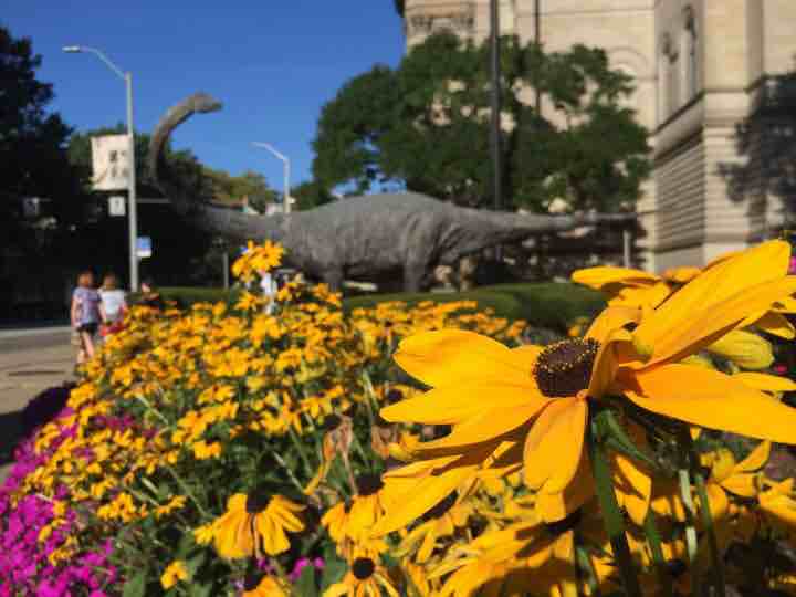 美国匹兹堡留学生活,美国大学校园美食
