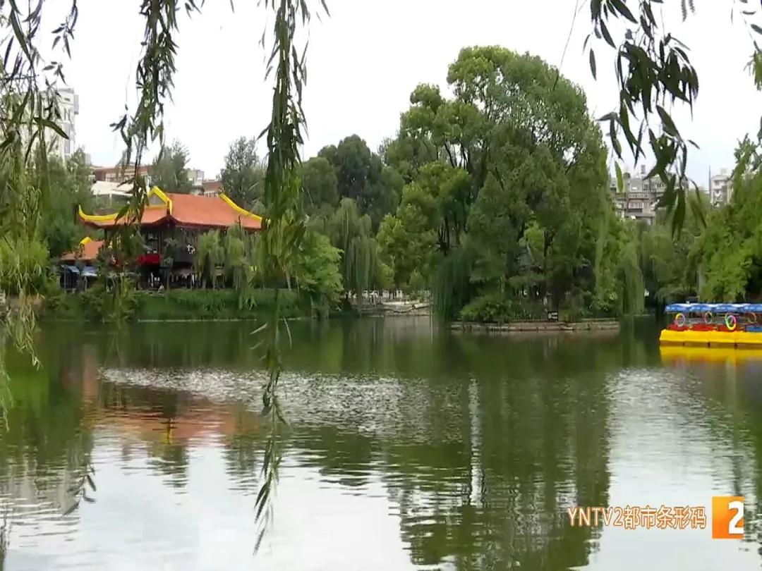 有香薰、有绿植、有热水、可以自助点歌，安宁市创新举措让公厕更加现代化、智慧化