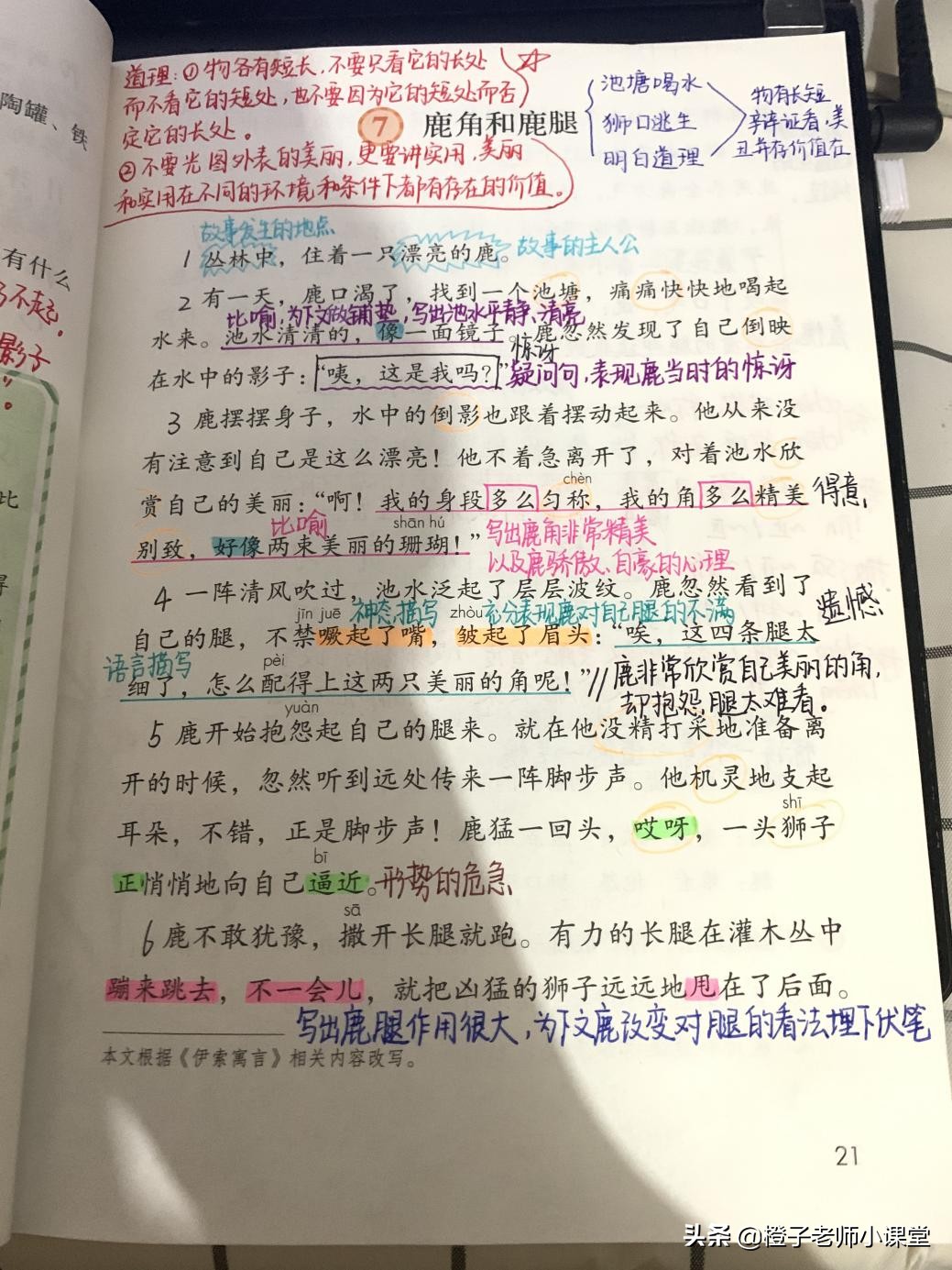 三年级语文7课鹿角和鹿腿,三年级下册鹿角和鹿腿感悟