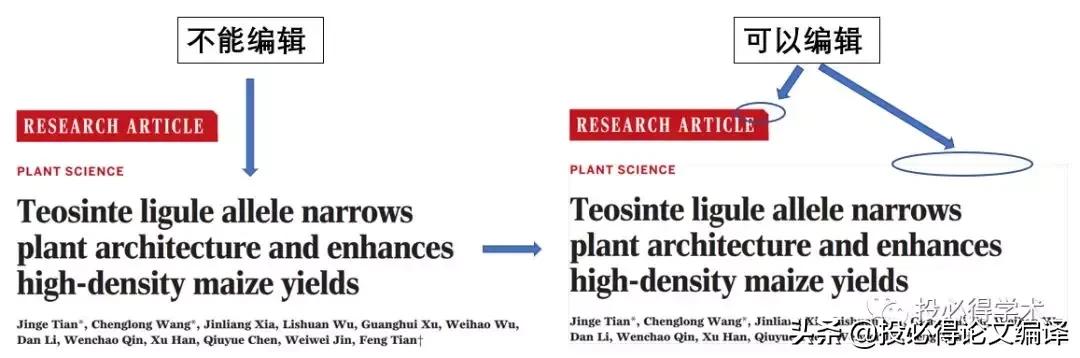 pdf24个常用神器,公认最好用的7款pdf软件