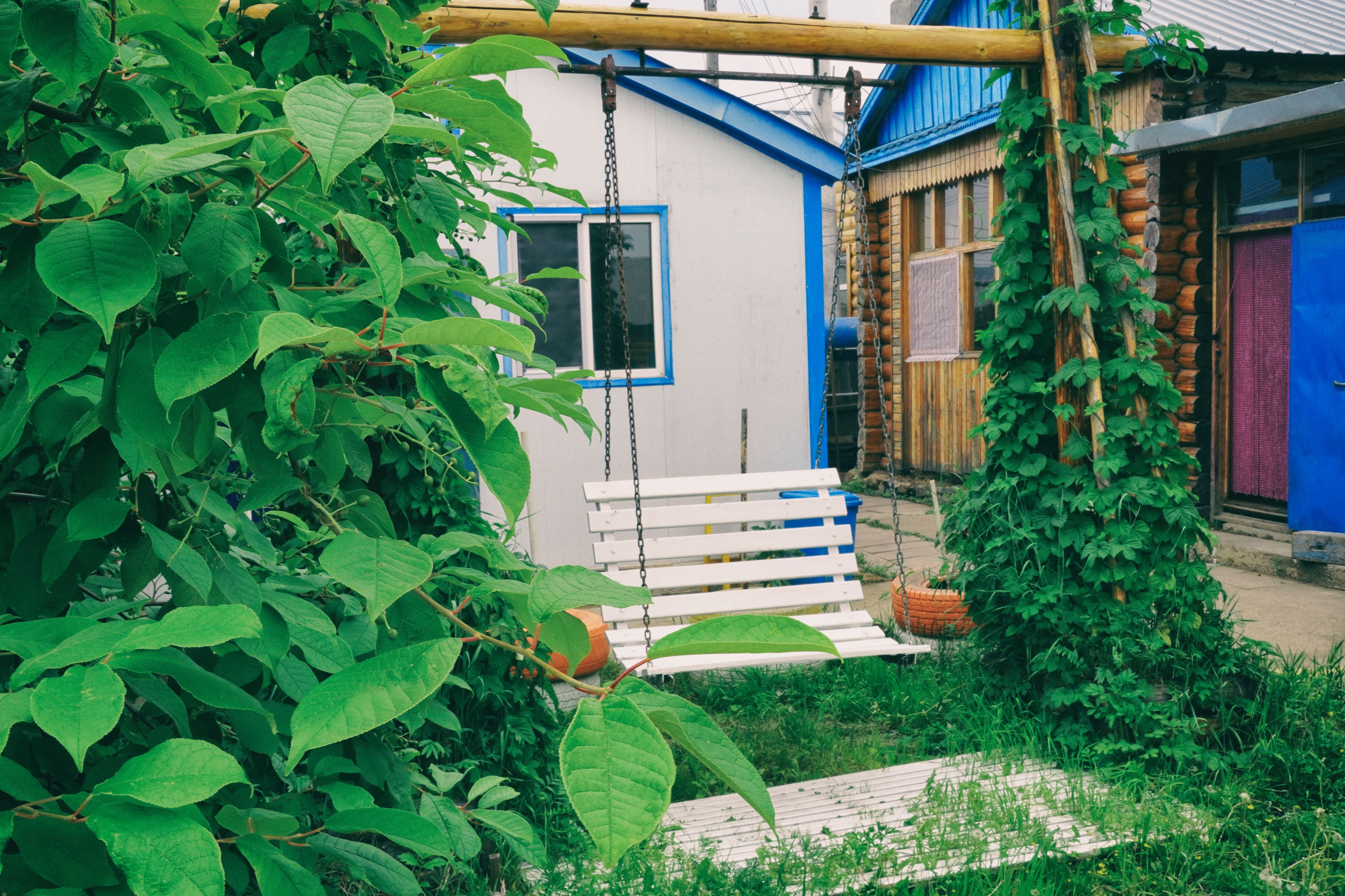 东北边疆,东北行游记2019