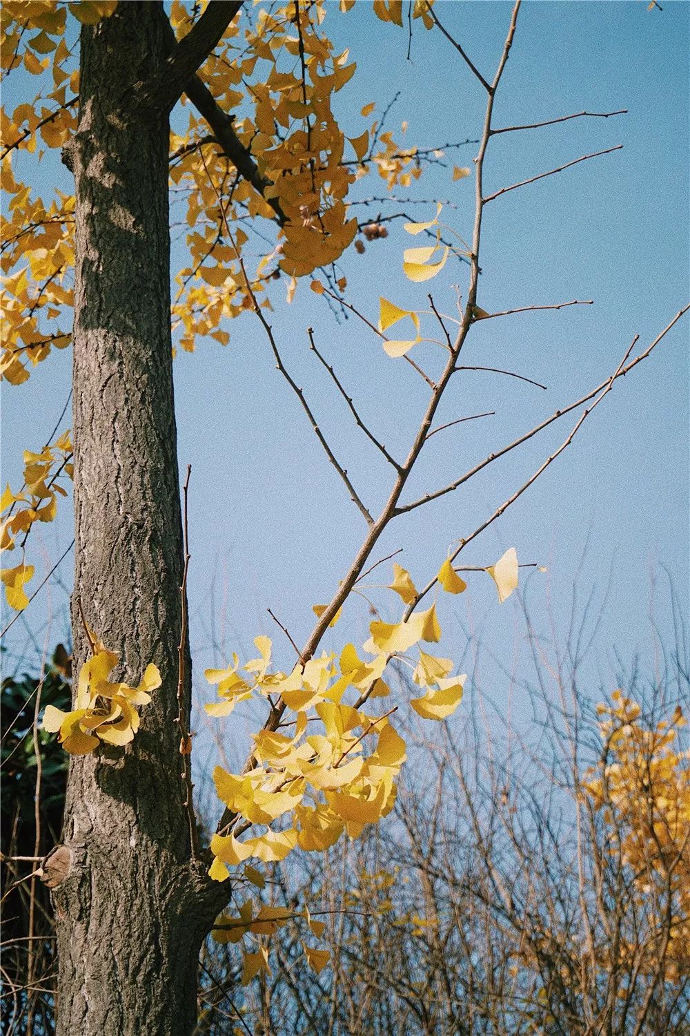 西安八月约会最佳地点,西安周末情侣最适合约会的地方